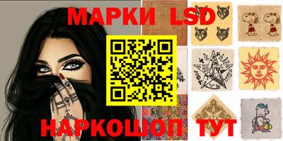 тгк Кингисепп