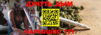 тгк Кингисепп