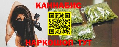тгк Кингисепп
