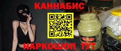 тгк Кингисепп