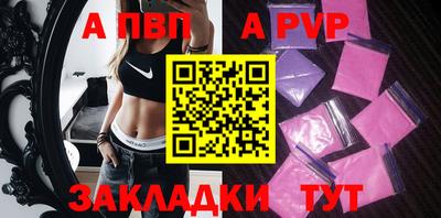 тгк Кингисепп