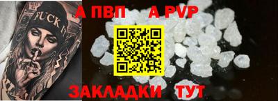 тгк Кингисепп