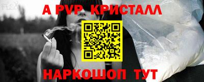 тгк Кингисепп