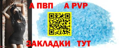 тгк Кингисепп