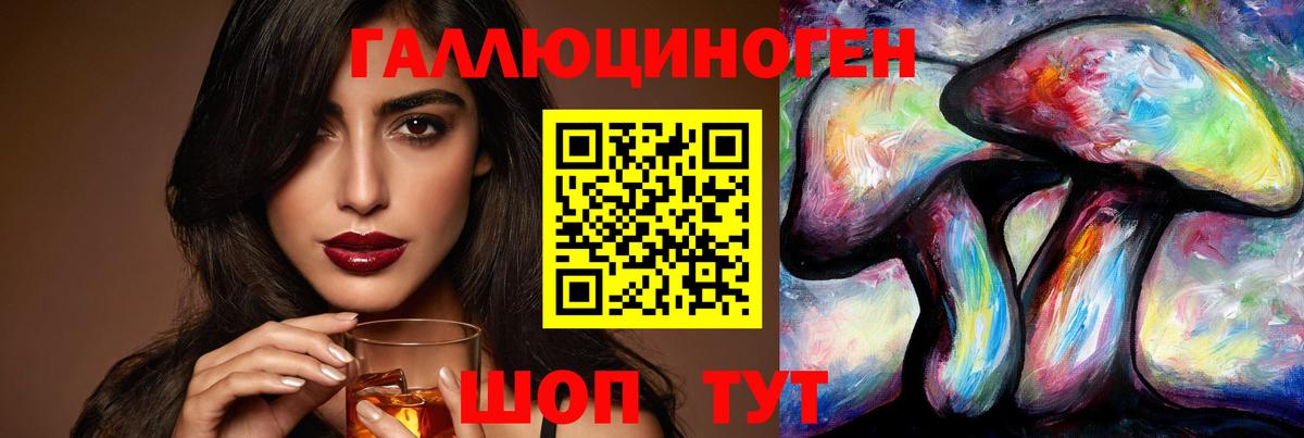 Псилоцибиновые грибы Psilocybe Валуйки
